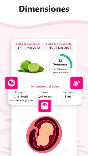 Calculadora de Embarazo screenshot