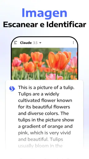 Chatbot Assistant - AI Seek screenshot