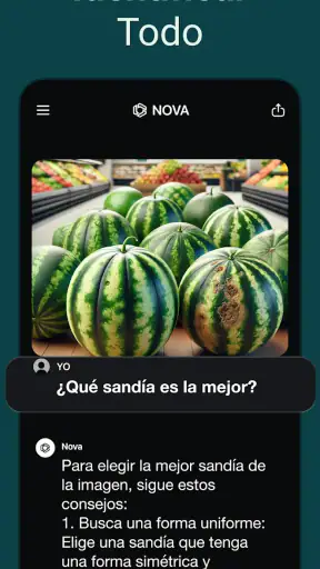 Chatbot IA Español - Nova screenshot