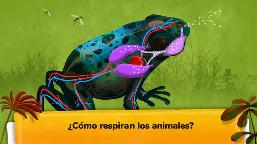¿Cómo funcionan los animales? screenshot