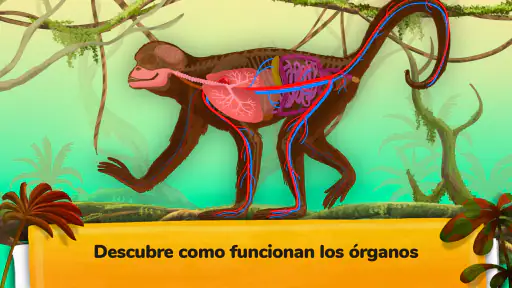 ¿Cómo funcionan los animales? screenshot