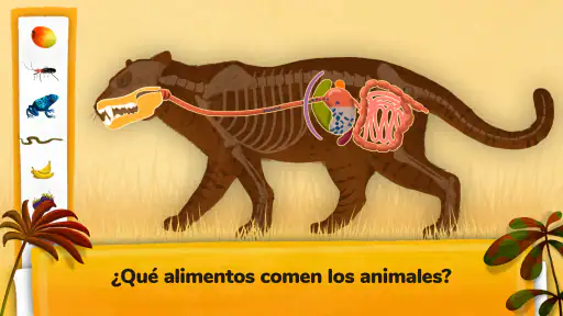 ¿Cómo funcionan los animales? screenshot