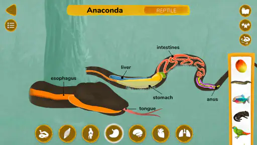 ¿Cómo funcionan los animales? screenshot