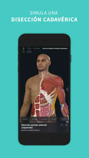 Complete Anatomy screenshot