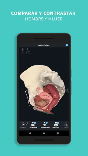 Complete Anatomy screenshot