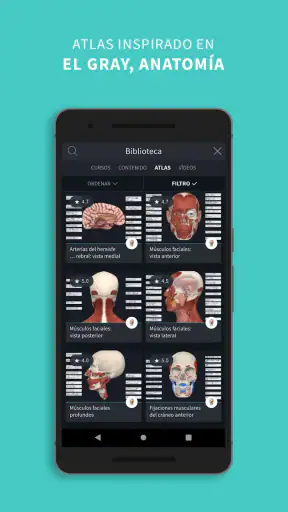 Complete Anatomy screenshot