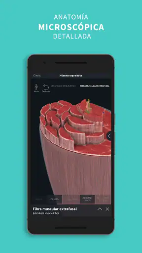 Complete Anatomy screenshot