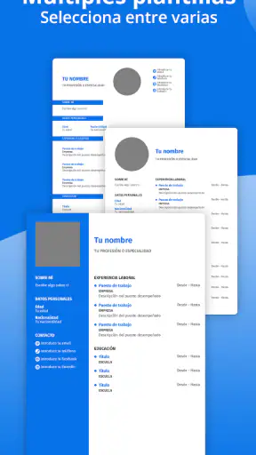 Curriculum Vitae - Español PDF screenshot