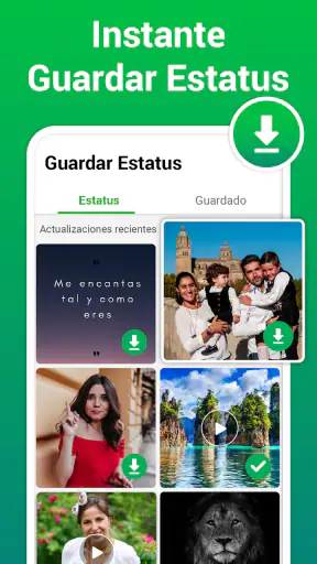 Descargador de Estados y Video screenshot