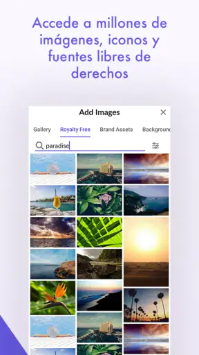 Desygner: Diseño Gráfico Fácil screenshot