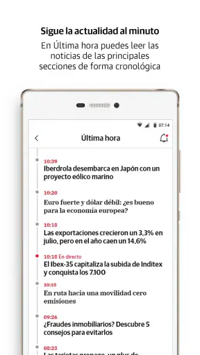 Diario Sur screenshot
