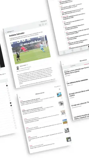 Diario Sur screenshot