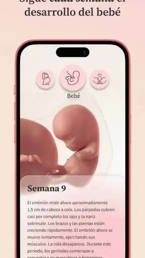 Embarazo | Preglife screenshot
