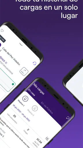 Endesa X Way screenshot