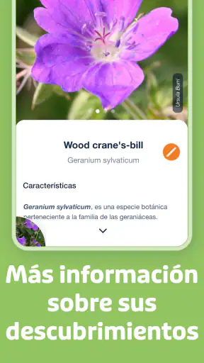 Flora Incognita screenshot