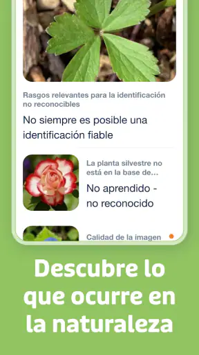 Flora Incognita screenshot