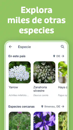 Flora Incognita screenshot