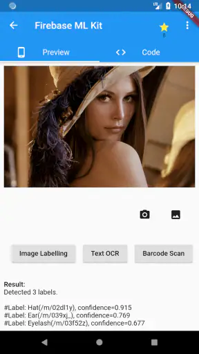 Flutter Catalog screenshot