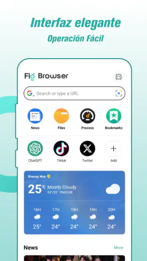 Fly Browser - Private & Fast screenshot