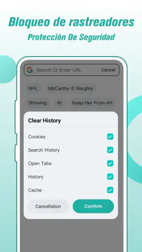 Fly Browser - Private & Fast screenshot