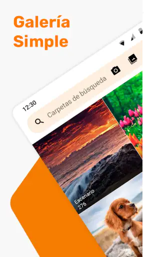 Galería Simple screenshot