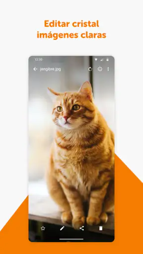 Galería Simple screenshot