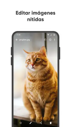 Galería Simple Pro screenshot