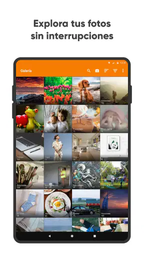 Galería Simple Pro screenshot