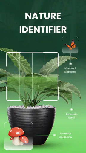 Garden Genie: Identificador screenshot