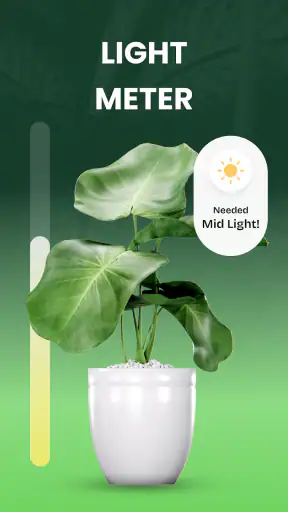 Garden Genie: Identificador screenshot