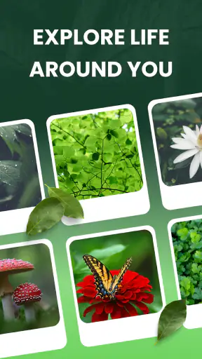Garden Genie: Identificador screenshot