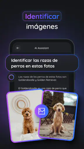 Gemmy AI: Chat y Asistente screenshot