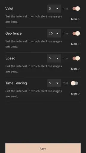 Genesis connected Services screenshot
