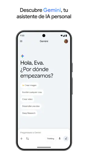 Google Gemini screenshot