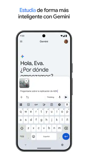 Google Gemini screenshot