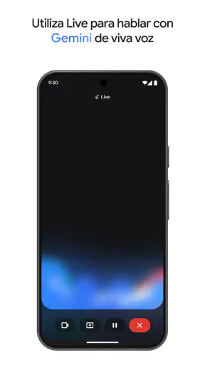 Google Gemini screenshot