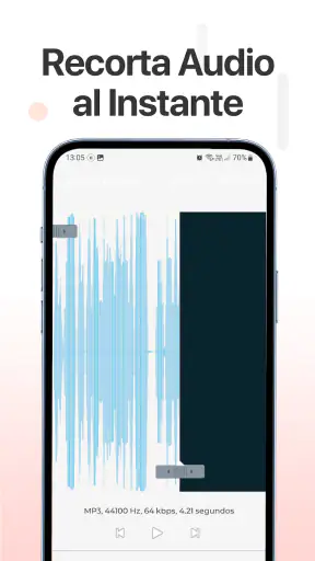 Grabadora de voz screenshot