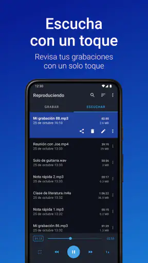 Grabadora de Voz Fácil Pro screenshot
