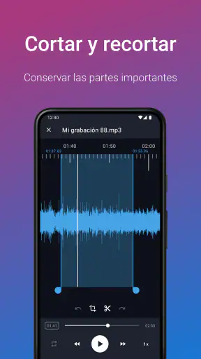 Grabadora de Voz Fácil Pro screenshot