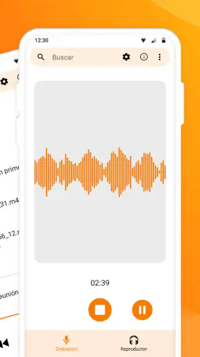 Grabadora de Voz Simple screenshot