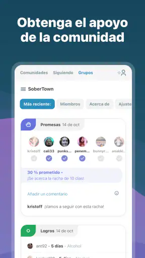 I Am Sober - Estoy sobrio/a screenshot