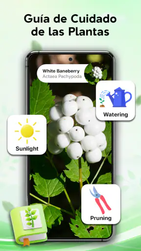 Identificador de plantas screenshot