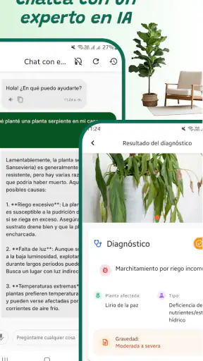 Identificador de plantas screenshot