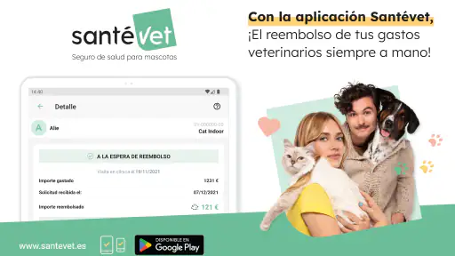 Juntos cuidamos de su mascota screenshot