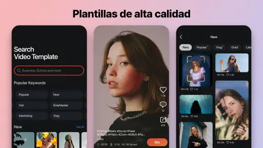 KineMaster - Editor de Videos screenshot