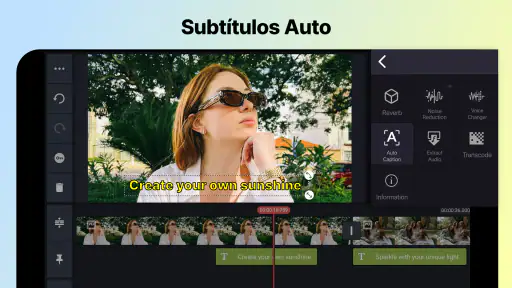 KineMaster - Editor de Videos screenshot