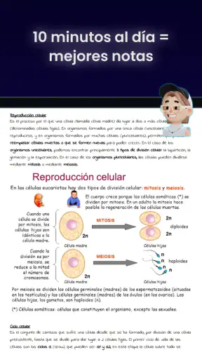 Knowunity | Apuntes y IA screenshot