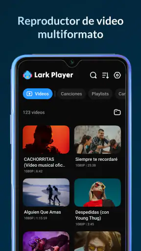 Lark Player:Reproductor Música screenshot