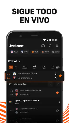 LiveScore Resultados de fútbol screenshot