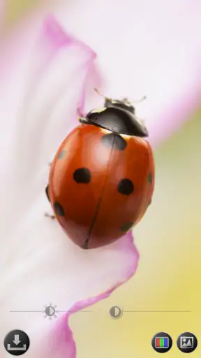 Lupa & Microscopio screenshot